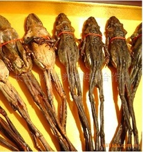 雪蛤干品_雪蛤干品价格_优质雪蛤干品批发\/采