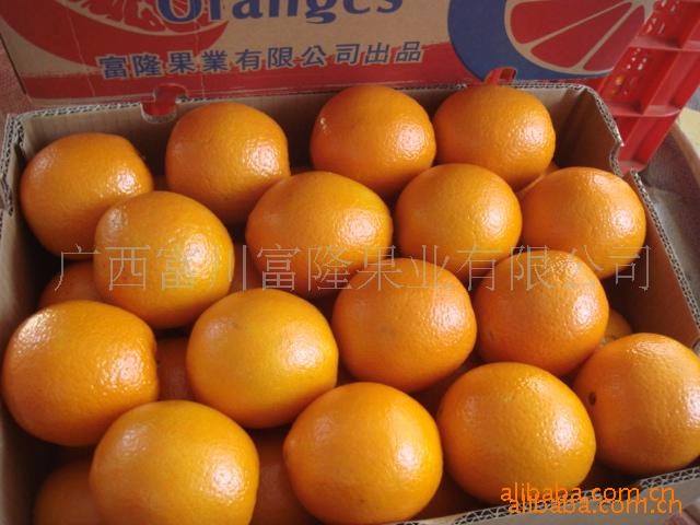 富川脐橙,柑桔、橙、柚价格\/批发报价\/生产厂家