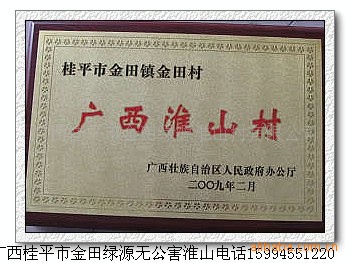 金田绿源 广西淮山村 