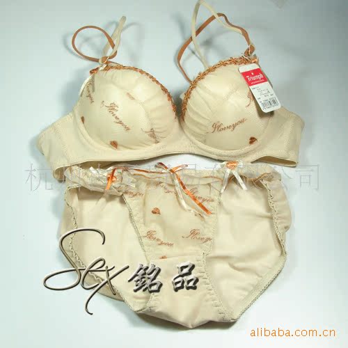 <em>外贸原单</em> 黛安芬 <em>文胸</em>批发 品牌 库存内衣 2591