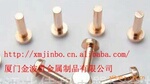 银铜复合触点 铆钉