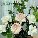 ��Ӧ���滨�� �������滨 ������ � �Ӽ�װ�λ�