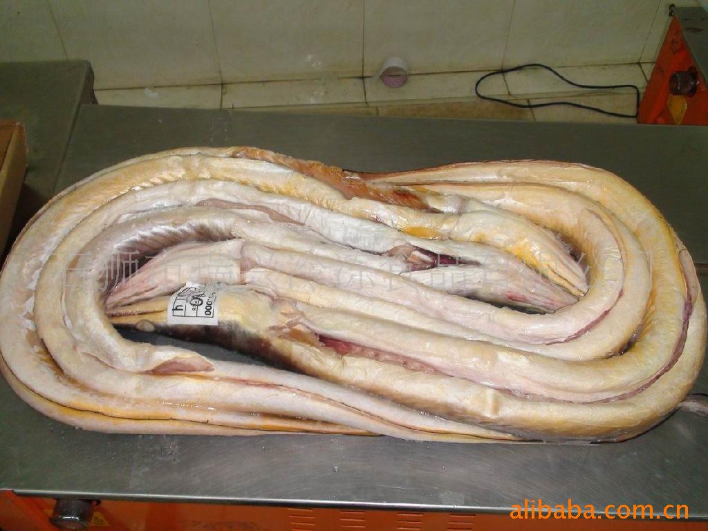 冷冻鳗鱼进口鳗鱼 图片