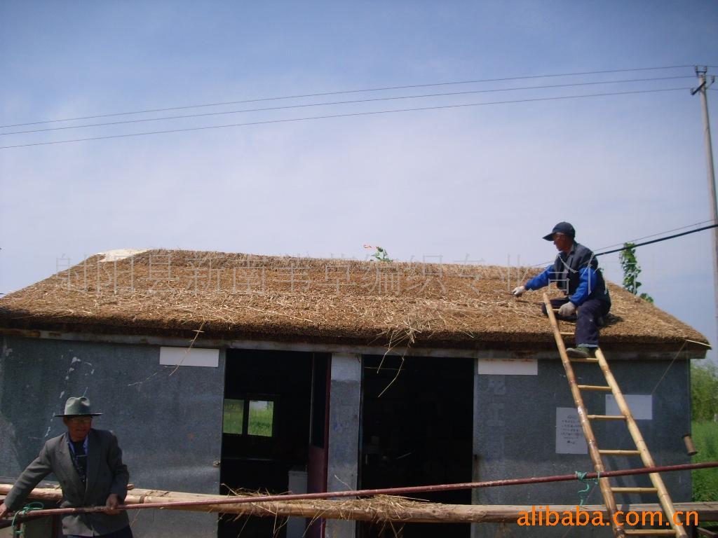 专业生产销售草编芦苇屋顶