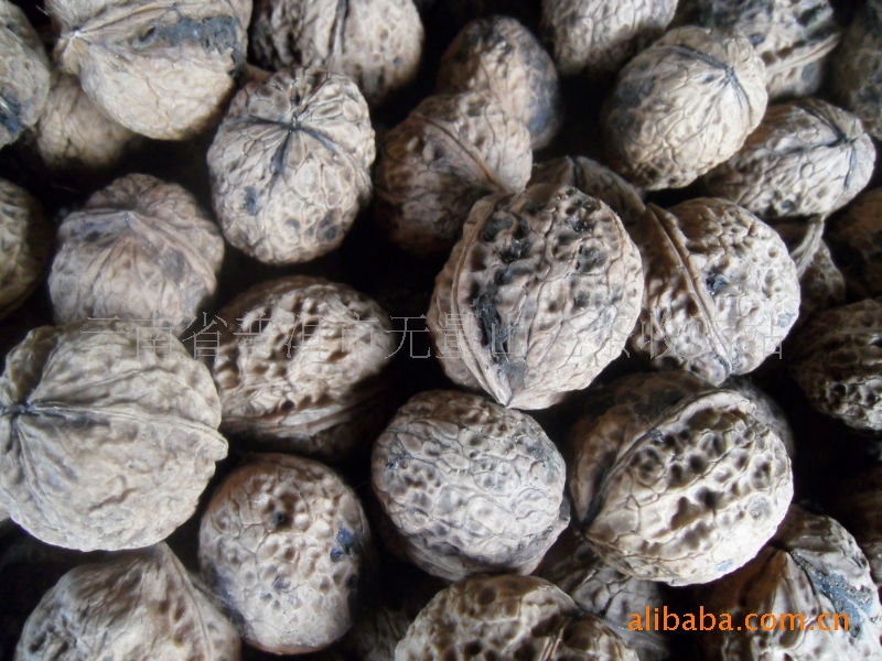 大量出售云南铁核桃 _ 大量出售云南铁核桃价