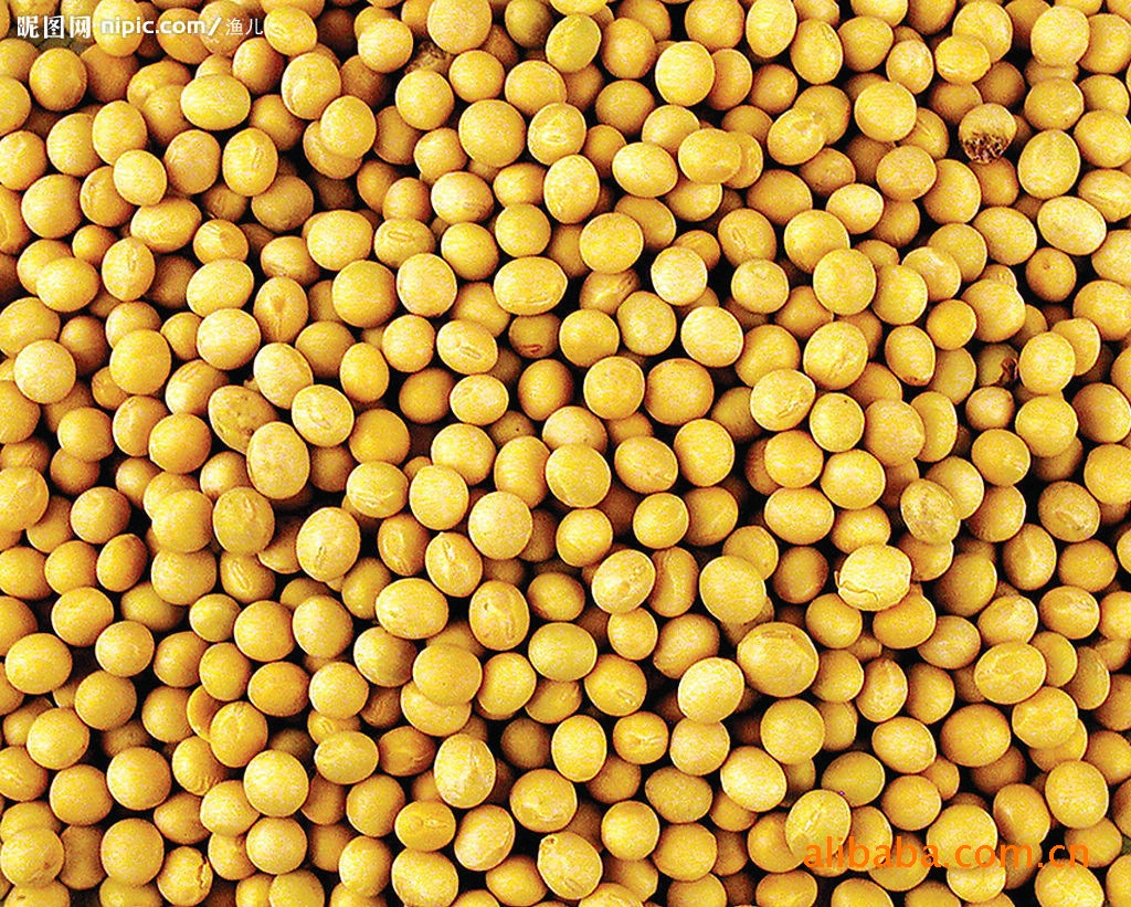 黄豆批发湖北襄樊本地大豆黄豆-豆类价格及生