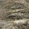 新年特惠9-10棵/500g长白山鲜人参长条,滋补效果好,1公斤包邮!