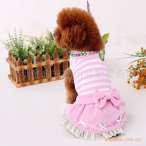 批发采购宠物服装服饰-供应小额混批宠物用品