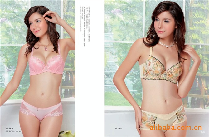 批发采购<em>文胸-一件代发</em>澳尔帕丝品牌内衣诚邀
