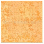 ���ڹ�Ӧ�¹�ש/��ש/�մ�ש/60X60