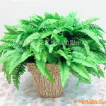 供应仿真花 【厂价直销】 仿真植物 仿真波斯草-梦幻花艺