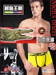 供应新潮男士2131时尚莱卡平脚内裤