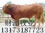 ��Ӧ������ţ ��ľ��ţ ��������ţ ³����ţ