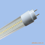 T8  LED�չ�ƹ� ӫ���