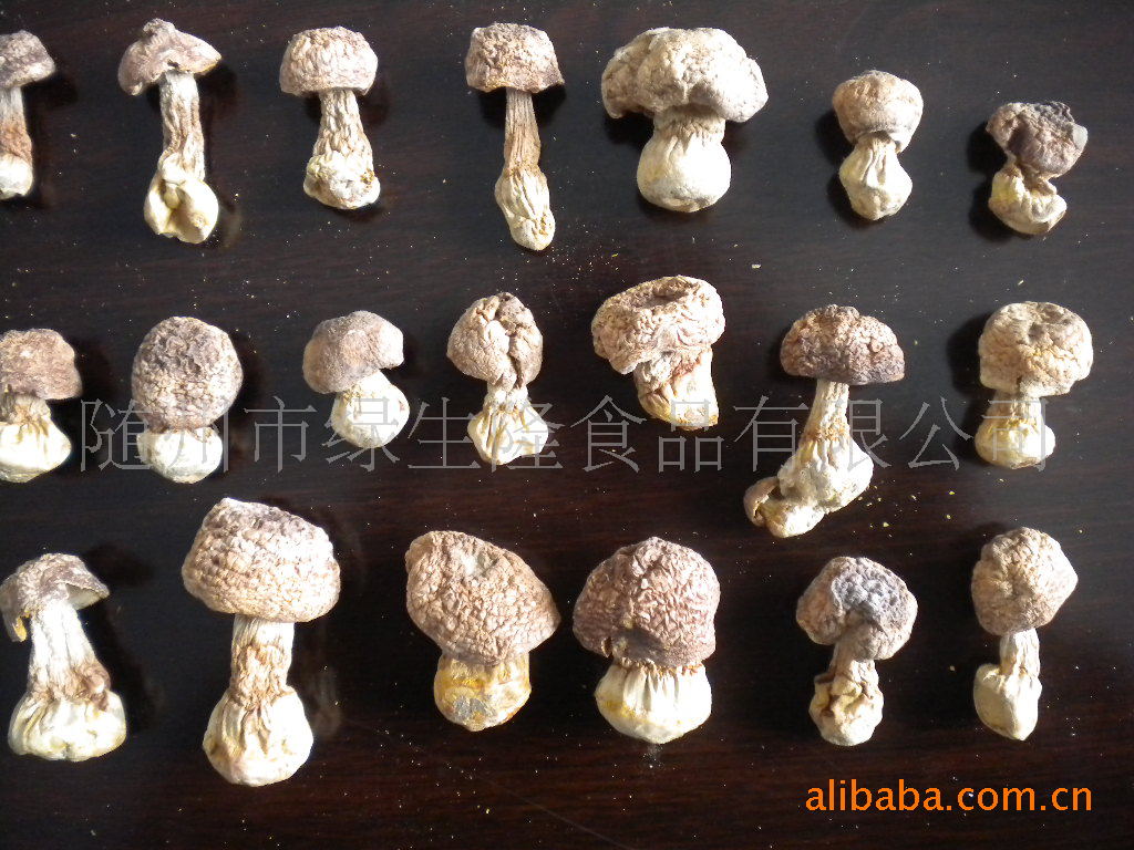 姬松茸-优质干姬松茸 巴西蘑菇(随州市绿生隆食