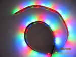 供应SMD3528软灯条,30灯/米,颜色:RGB