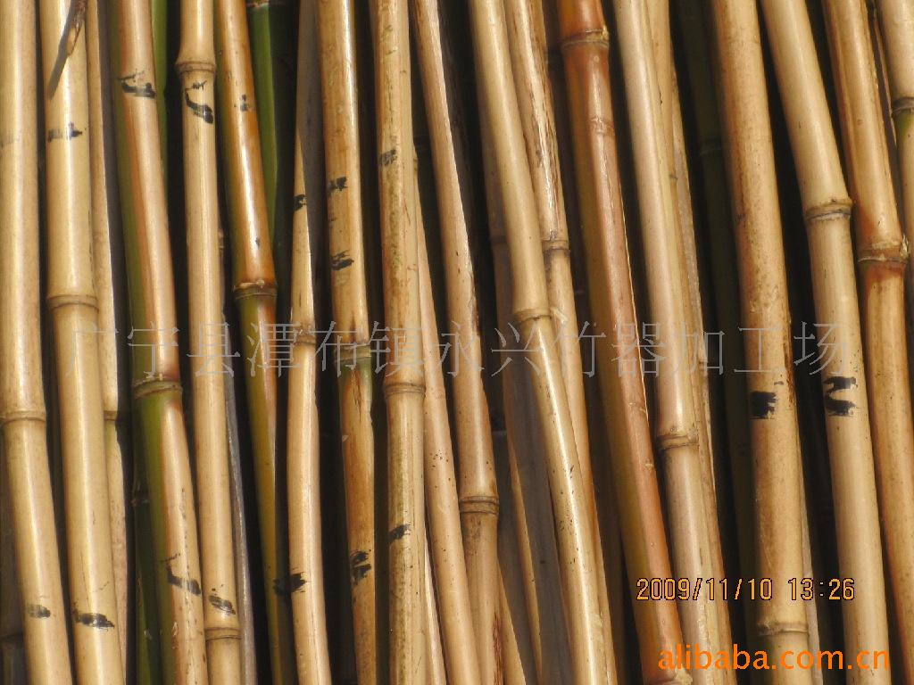 翠绿的竹竿图片素材-编号06213249-图行天下