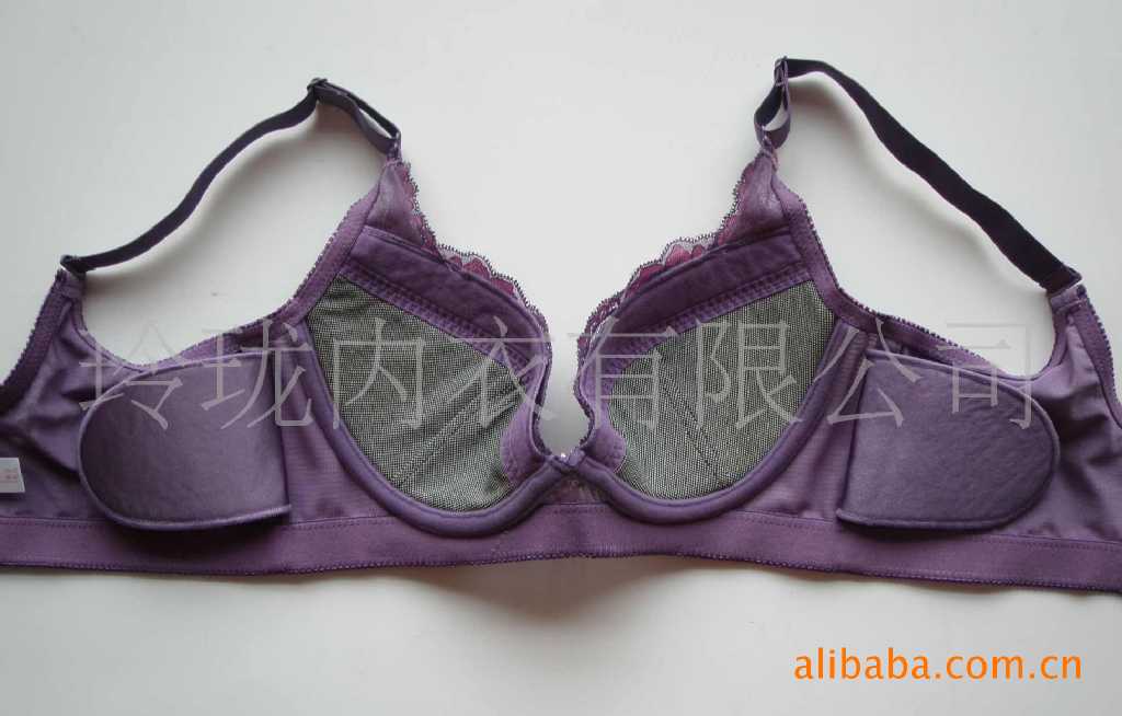 C013紫色<em>雷丝</em>调整型<em>文胸</em>,美体内衣(图) 46.00