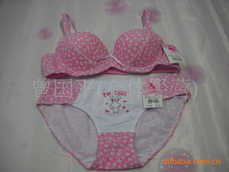 青春飞扬系列-青青贵族<em>花季少女文胸</em>批发 45.0