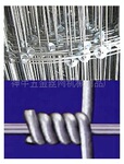 草原牛栏网