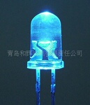 5MMԲͷ����LED
