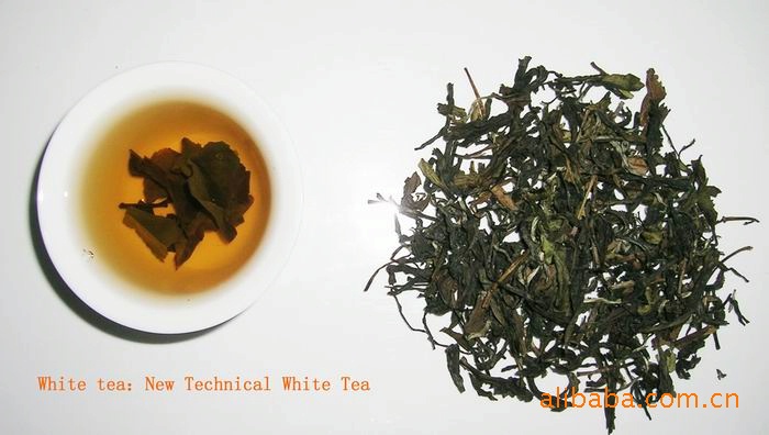 2010年福鼎白茶火热销售中-白茶价格\/批发报价\/生产厂家\/参数-福建福鼎东南白茶进出口有限公司-2088商务网