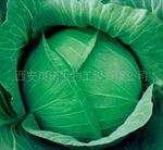 ��Ӧ�ͼ۸�����ȡ��10��1������ŵ����