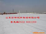 供应围海造田专用编织/针刺土工布/针刺复合土工布