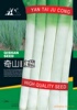 山东精品奇山巨葱种子--大葱种子 抗病高产蔬菜种子
