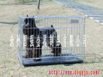 厂家直销折叠宠物笼,宠物笼,狗笼,猫笼,鸟笼