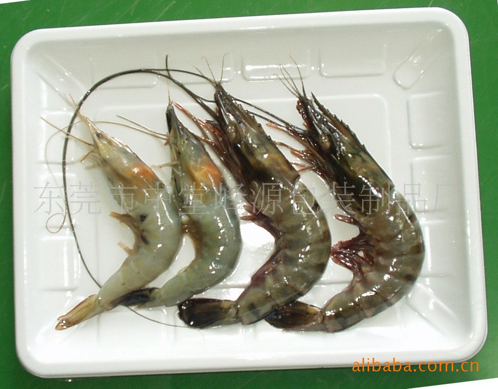Sample- shrimps 2