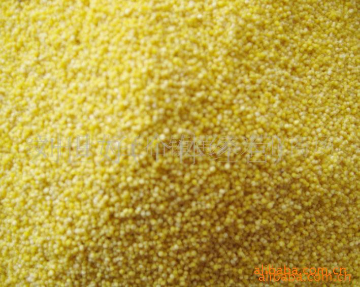 【山地小米.谷子】价格,厂家,图片,高粱\/粟\/黍,绥