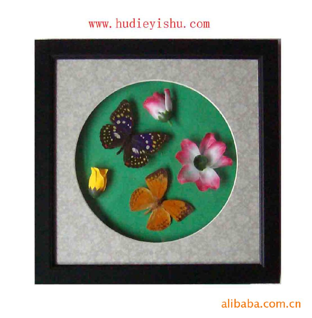 精品蝴蝶装饰画真蝴蝶标本厂家直销诚邀经销商