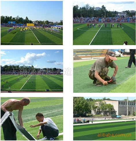 足球 场