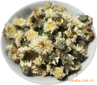 【直供千岛绿园高山生态贡菊花茶[500克起批]