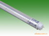 LED�չ��8W