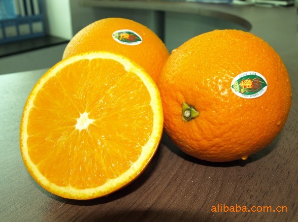 供应优质赣南脐橙 收购,贮藏,加工打蜡,分级包装