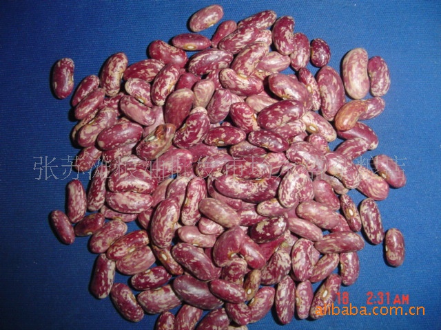 长期供应红花豆、豌豆、黄豆、菜青豆、扁豆等各种杂粮