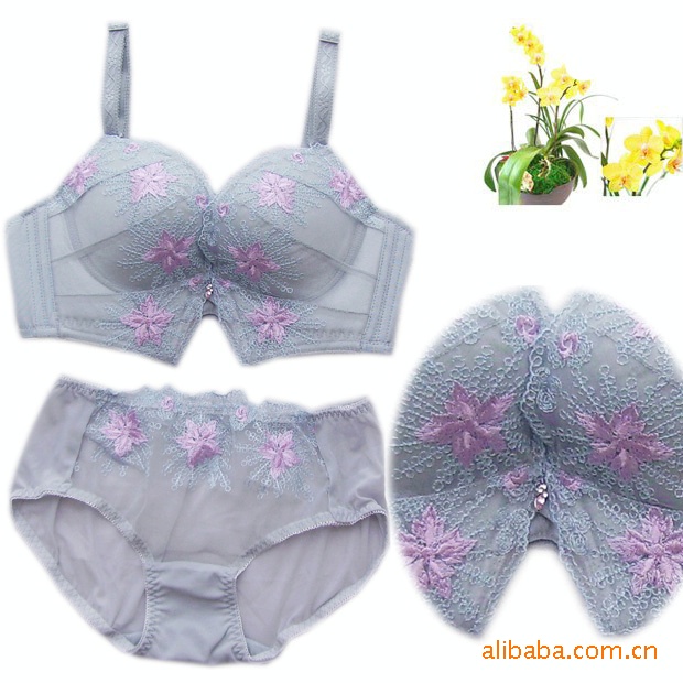 黛安芬 名媛蕾丝 文胸套装批发代理 <em>天姿国色</em> 5