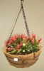 flower_rack_iron_flower_rack_f