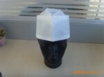��Ӧֲ����ά����ñ(����) forage hat