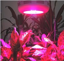 LED植物生长灯\/适用温室养花种菜\/90W _ LED