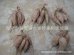 供优质食用黄心甘薯-----心香