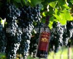 ���� �����ɺ죺������� �ڸ�ϸ��