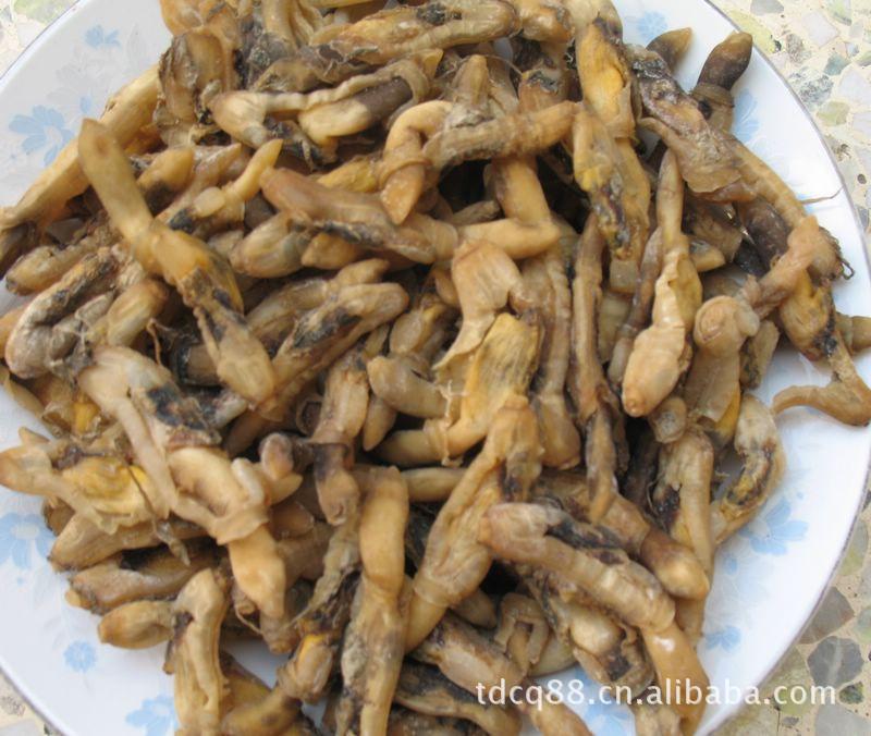 【厂家长期供货批发厦门特产茶树菇茶树菇】