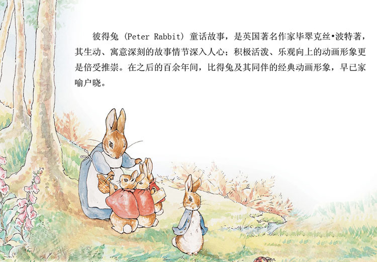 外贸日单<em>女袜</em>批发 <em>彼得兔女袜</em> 纯棉 短袜 刺绣 