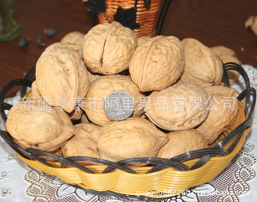 【供应 批发 新疆特产 干果 益智健脑 一棵树核