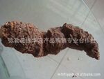 【优良品质】供应天然野生重楼