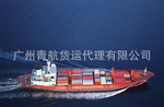 清远清新到大连砂糖橘海运集装箱冷藏运输公司