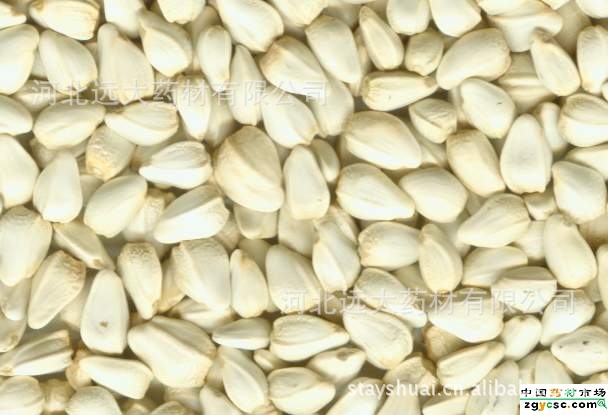 【优质 红花子】价格,厂家,图片,植物中药材,霍帅-马可波罗网